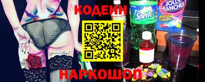 индика Камышлов