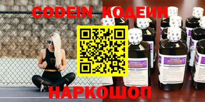 герыч Кингисепп