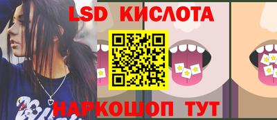 индика Камышлов