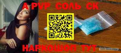 индика Камышлов