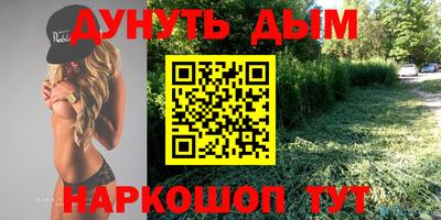 герыч Кингисепп