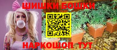 герыч Кингисепп