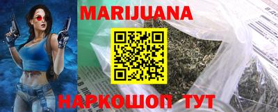 индика Камышлов