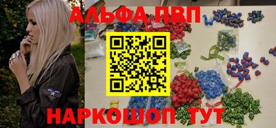 индика Камышлов